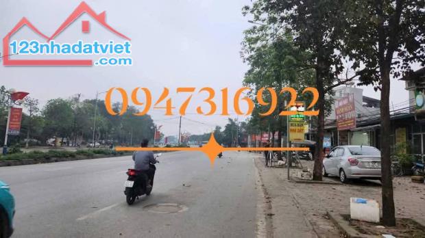 Lô đất cực Vip cực tiềm năng, kinh doanh đỉnh tại Đại Mạch, Đông Anh - 2