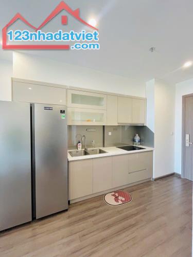 Cho thuê căn hộ  Symphony Riverside 65m2 full đồ 2pn 2wc giá 15triệu - 4