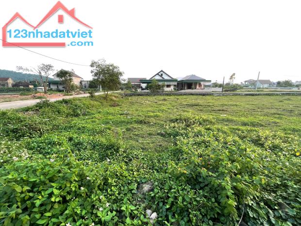 BÁN ĐẤT ĐẤU GIÁ NGHI YÊN LÔ GÓC 2 HAI MẶT TIỀN - 3