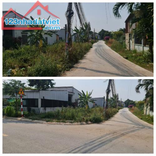 ĐẤT ĐẸP - ĐẦU TƯ SINH LỜI - CHÍNH CHỦ Cần Bán Đất Mặt Tiền Đường Chợ Chiều, Đức Hòa, Long - 4