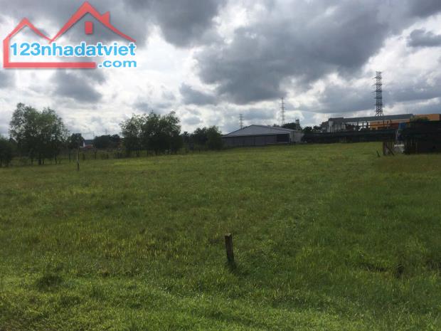 4736m2 đất mặt tiền Nguyễn Thị Nhia, xã Phước Hiệp giá 22 tỷ