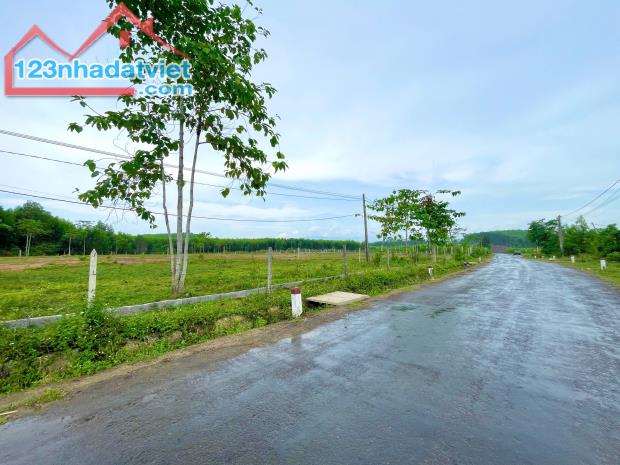 Bán đất 2.059m2 full thổ cư mặt tiền Tỉnh Lộ 8B, Xã Khánh Bình - 2