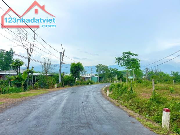Bán đất 2.059m2 full thổ cư mặt tiền Tỉnh Lộ 8B, Xã Khánh Bình - 3