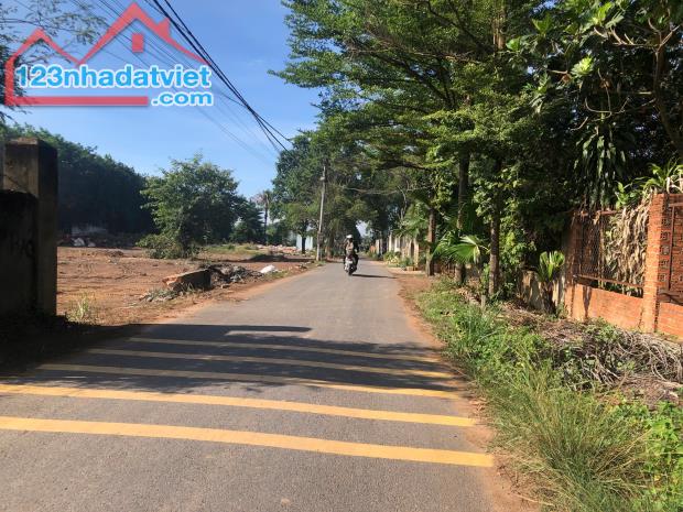 Mặt tiền đường nhựa – Gần Đại lộ Đông Tây & Khu Logistics 620ha – Giá chỉ 1,35 tỷ! - 2