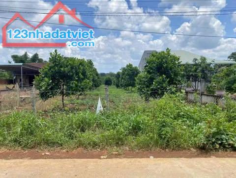 214m2 có 100m2 đất ở tại Dầu Tiếng Bình Dương giá 295 triệu