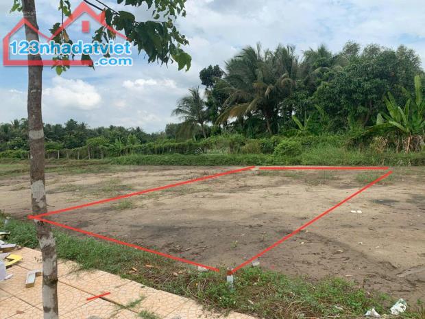 CHÍNH CHỦ CẦN BÁN GẤP Nền Thổ Cư Tại KDC Minh Trí, Phụng Hiệp, Hậu Giang - 2