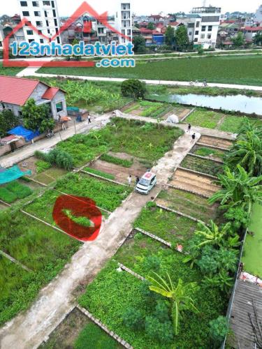 Bán đất trung tâm thị trấn Kim Bài – 41.7m² vuông vắn, ô tô vào tận nơi - 3