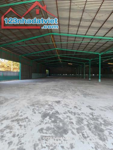 Cho thuê kho xưởng 5.000m² tại Dĩ An, Bình Dương – Giá chỉ 150 triệu/tháng, đường - 3