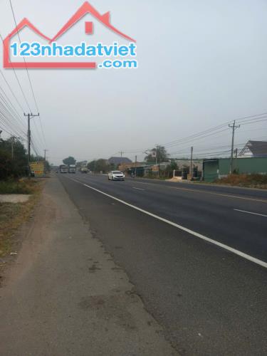 Bán xưởng 600m² mặt tiền DT741, Chánh Phú Hòa – Bến Cát, Bình Dương  Giá chỉ 10.5 tỷ TL - 1