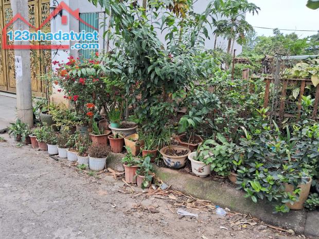 ĐẤT PHÂN LÔ THẠCH BÀN 2 Ô TÔ TRÁNH GẦN MẶT PHỐ MẶT TIỀN HOA HẬU CHỈ HƠN 10 TỶ