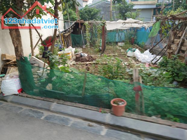 Siêu hiếm, 100m đường Cổng Hậu Kim Chung giá chỉ còn nhỉnh 5.5 tỷ