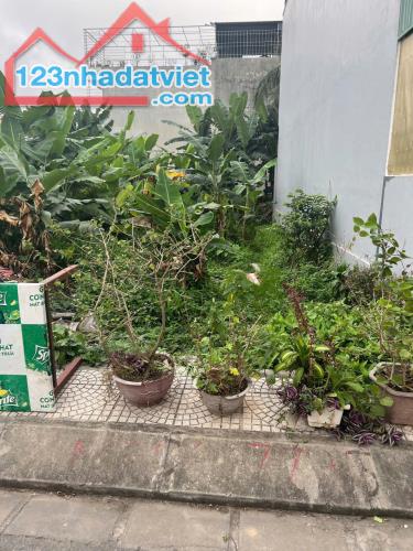 Siêu phẩm HOA HẬU PHỐ HẢI THÀNH 2, Dương Kinh, HP - 1