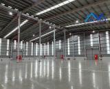 Xưởng 4515m2 KCN Dầu Giây Đồng Nai cho thuê 98.002đ/m2 (3,8 $/m2)