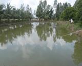 Chính chủ bán giá ngợp lô đất vườn có ao nhỏ giá 585tr/1000m2 tại Định Quán
