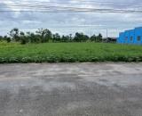 3,5 tỷ - B.á.n 1.500m2 đất đẹp, 2 mặt tiền nhựa HL07, Tân Thành, Gò Công Đông, Tiền Giang.