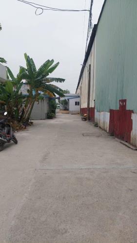 Chỉ 920 triệu 46m2 đất ô tô đỗ tận cửa ngay sau khu phân lô tại Quỳnh Cư, Hùng Vương - 1