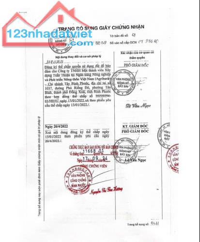ĐẤT ĐẸP – GIÁ TỐT- CHÍNH CHỦ CẦN BÁN NHANH 4  LÔ ĐẤT  TẠI Tân Phước, Đồng Phú, Bình Phước - 3