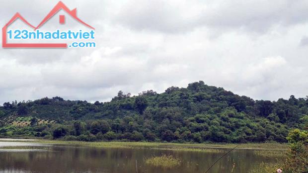 500 ha đất thuê còn 30 năm kề Tỉnh lộ 690, giáp đập Thủy lợi - Huyện Krông Ana - Đăk Lăk,