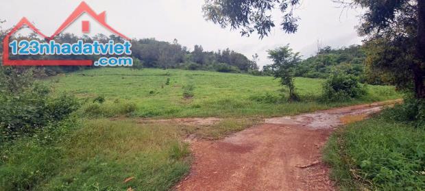 500 ha đất thuê còn 30 năm kề Tỉnh lộ 690, giáp đập Thủy lợi - Huyện Krông Ana - Đăk Lăk, - 2