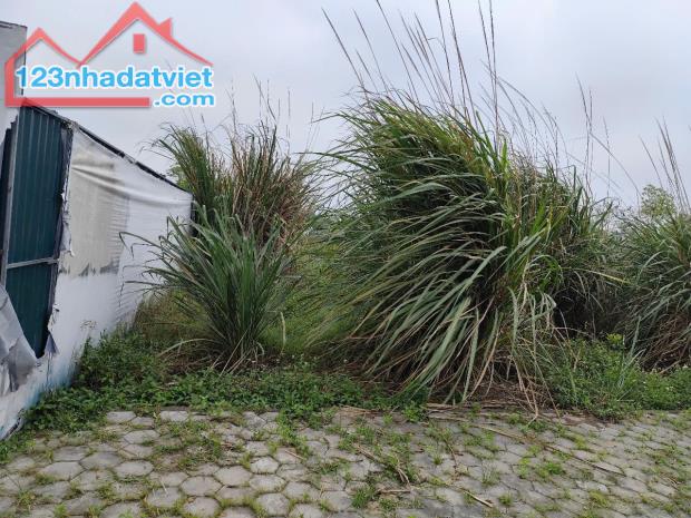 Cơ hội đầu tư hấp dẫn: 1,4 sào đất (540m²) giá chỉ hơn 1 tỷ