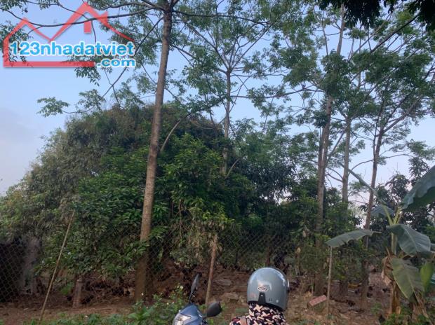 🔴LÔ ĐẤT SIÊU ĐẸP 100m² – GIÁ TỐT TẠI BỘT XUYÊN, MỸ ĐỨC – HÀ NỘI - 4
