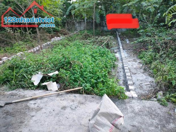 CHỈ hơn 900tr lô đất vuông vắn đẹp k lỗi lầm sát trục thôn tại Lâm Động - Thuỷ Nguyên. - 4