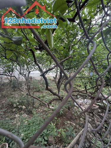 MẢNH ĐẤT, ÂU CƠ, TÂY HỒ: 164M , MT 18M, GIÁ 22 TỶ. - 1