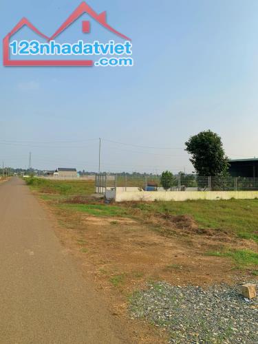 CẦN BÁN 219M2 ĐẤT SHR ĐƯỜNG SỐ 15, LIỀN KỀ ĐƯỜNG CAO TỐC BH-VT - 1