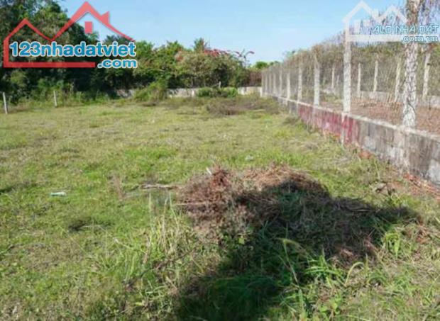 BÁN NGỘP LÔ ĐẤT Ở PHƯỚC THẠNH CỦ CHI 135M2 GIÁ 520 TRIỆU - 2