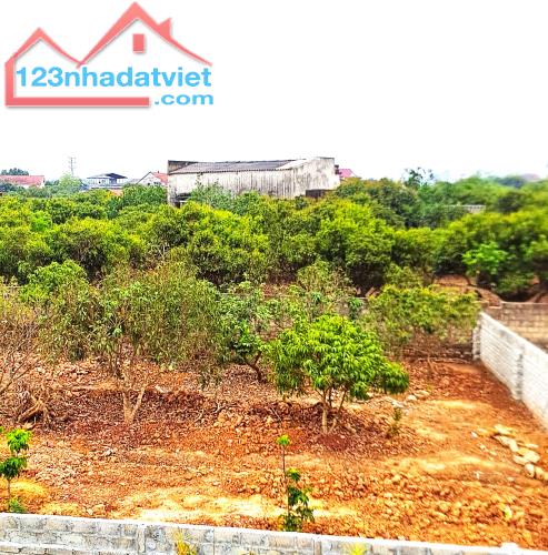 BÁN 312M ĐẤT KÉP 2 HỒNG GIANG THỊ XÃ CHŨ GIÁ ĐẦU TƯ 0982188151 + Vị trí đẹp lô góc xung qu - 1