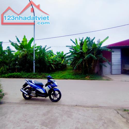 200m đất mặt đường liên xã Tri Trung-Hoàng Long KD đỉnh,cách Cienco5 700m - 3
