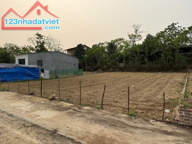 Bán đất tại Cẩm Trạch, Đạo Tú, Tam Dương, Vĩnh Phúc. Giá chỉ 670 triệu