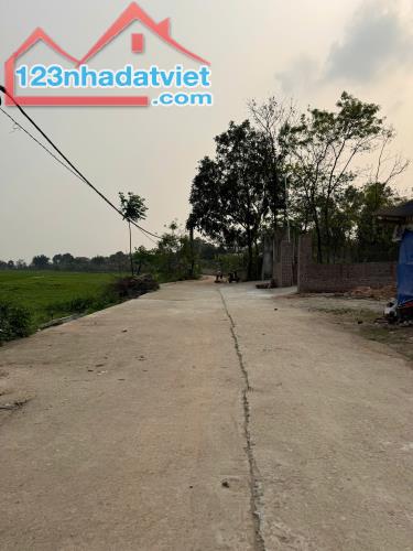 Bán đất tại Cẩm Trạch, Đạo Tú, Tam Dương, Vĩnh Phúc. Giá chỉ 670 triệu - 1