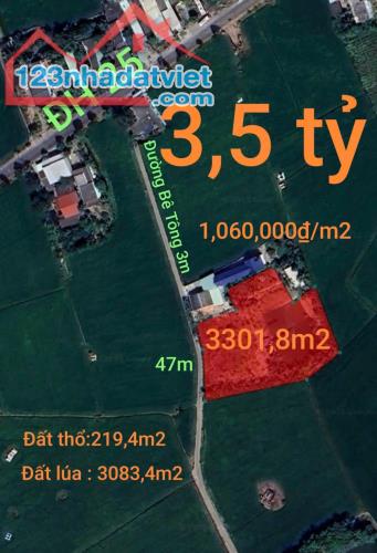 🎯Bán lô đất thổ lúa mặt tiền đường đan 3m giá 3,5 tỷ