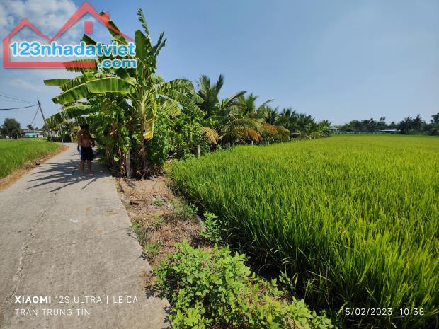 🎯Bán lô đất thổ lúa mặt tiền đường đan 3m giá 3,5 tỷ - 1