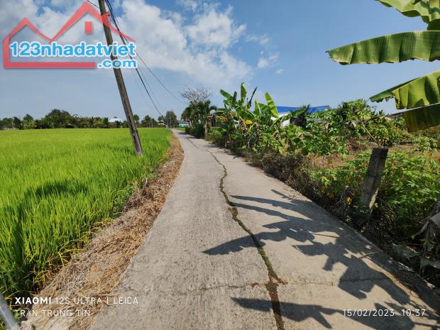 🎯Bán lô đất thổ lúa mặt tiền đường đan 3m giá 3,5 tỷ - 2