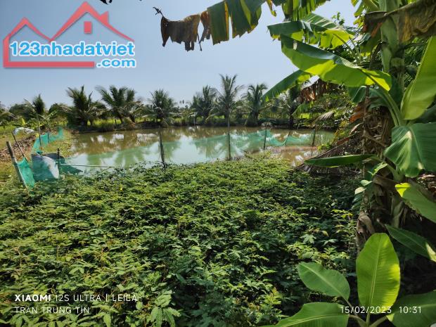 🎯Bán lô đất thổ lúa mặt tiền đường đan 3m giá 3,5 tỷ - 4