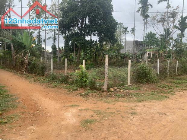 BÁN NHANH LÔ GÓC 2 MẶT TIỀN – XÃ EA TIÊU, HUYỆN CƯ KUIN - 2