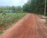 1000m2 gần siêu khu công nghiệp 4200ha Tân hòa Đồng Phú bình phước chỉ 150 triệu