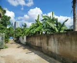 Cần bán gấp lô đất cần bán ở Đường nguyễn Xiển, Long Thạnh Mỹ, Quận 9