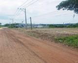 CẦN BÁN GẤP LÔ ĐẤT 1000M2 - GIÁ CHỈ 195 TRIỆU - KHÔNG PHÁT SINH