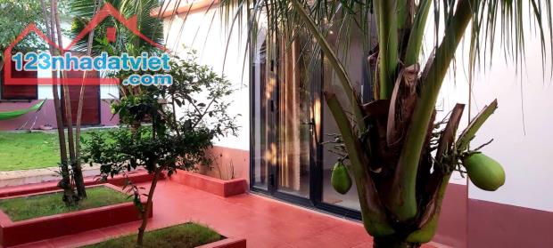 CHÍNH CHỦ CẦN BÁN GẤP NHÀ VƯỜN SIÊU ĐẸP TẠI HUYỆN XUYÊN MỘC – BÀ RỊA VŨNG TÀU - 1