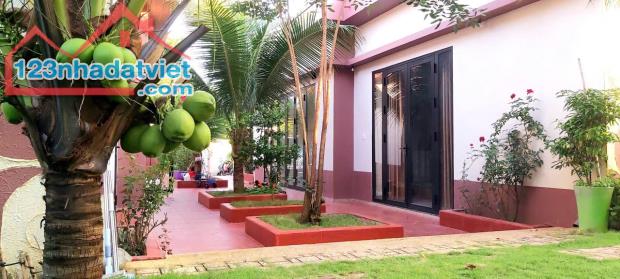 CHÍNH CHỦ CẦN BÁN GẤP NHÀ VƯỜN SIÊU ĐẸP TẠI HUYỆN XUYÊN MỘC – BÀ RỊA VŨNG TÀU - 2