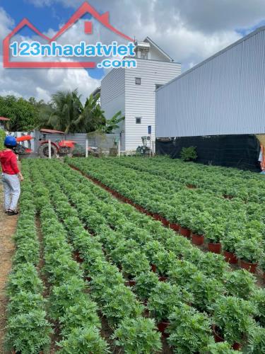 Bán đất full thổ cư xã Diên Sơn 2 mặt tiền siêu đẹp
