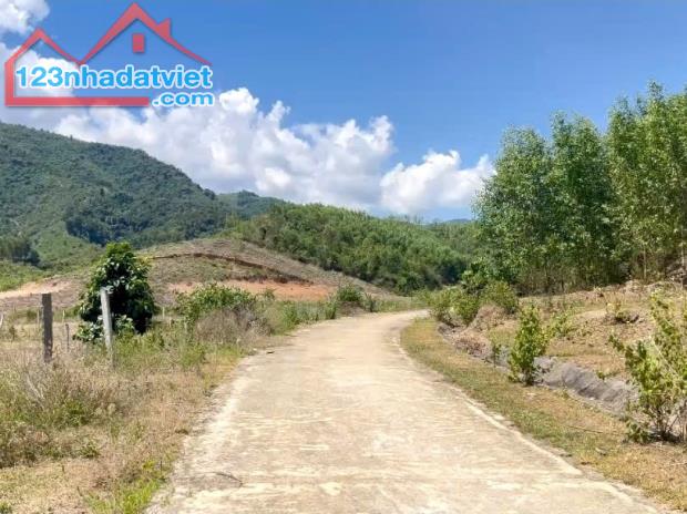 Bán lô góc Khánh Phú gần full thổ cư mặt đường bê tông phù hợp đầu tư phân lô - 2