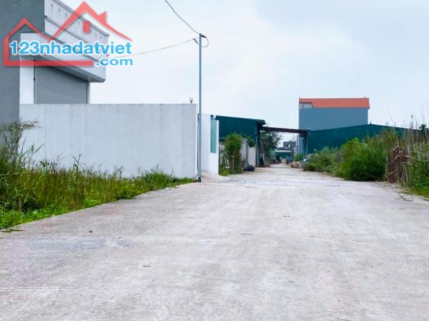 Đấu giá Đồng Phố-Tân Dân có sẵn KHO,nhu cầu thực mật độ XD cao,nhiều tiện ích - 1