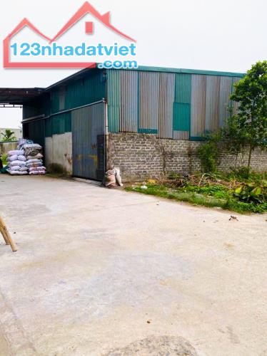 Đấu giá Đồng Phố-Tân Dân có sẵn KHO,nhu cầu thực mật độ XD cao,nhiều tiện ích - 3
