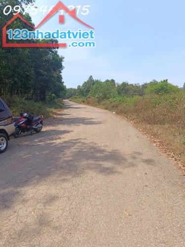 BÁN GẤP 13.8 HECTA ĐẤT MẶT TIỀN ĐƯỜNG 11 – LONG BÌNH, TP. THỦ ĐỨC - 1