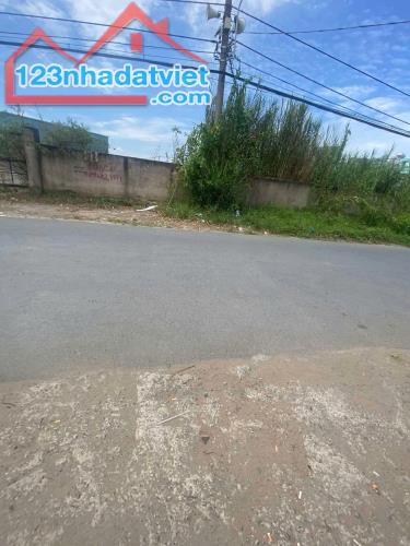 Bán Biệt Thự MiNi 720M2. Mặt Tiền Đường Kinh Doanh, Ngang 16m, Phú Hữu Tp.Thủ Đức - 3