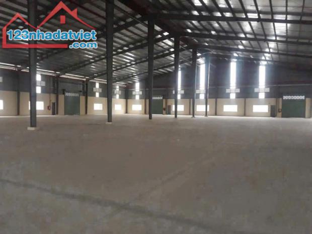 Cần bán nhà xưởng 20.000m2 trong KCN Đức Hòa, Long An - 4